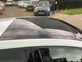 Volkswagen Golf 1.4 TSI BNS ED. R design, pano automaat Bianco - thumbnail 13