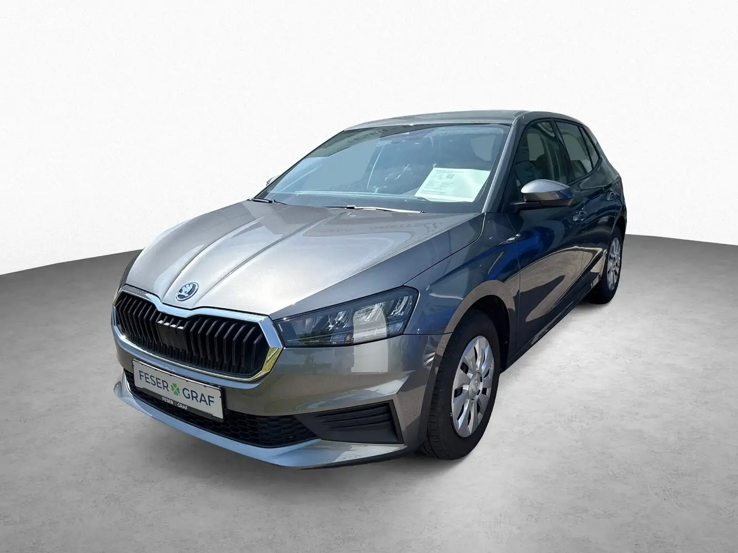 Skoda Fabia Skoda Fabia Active 1.0 TSI AHK*Sitzheiz Gris - 1