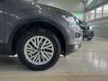 Volkswagen T-Roc Team Austria TSI OPF Grau - thumbnail 6