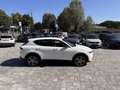Alfa Romeo Tonale 1.5 160 CV Hybrid VELOCE Bianco - thumbnail 8