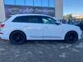 Audi Q7 218cv S-line / 7 POSTI / TETTO/ SOSPENSIONI Bianco - thumbnail 3