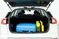 Kia Niro 1.6 HEV Business Blanco - thumbnail 16