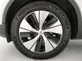 Volvo XC40 D3 Geatronic Business Plus - Autocarro Bianco - thumbnail 13