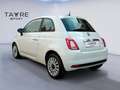 Fiat 500 1.0 Hybrid Cult 52kW - thumbnail 4