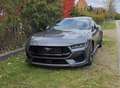 Ford Mustang 5.0 V8 Garantie bis 2029 Grau - thumbnail 2