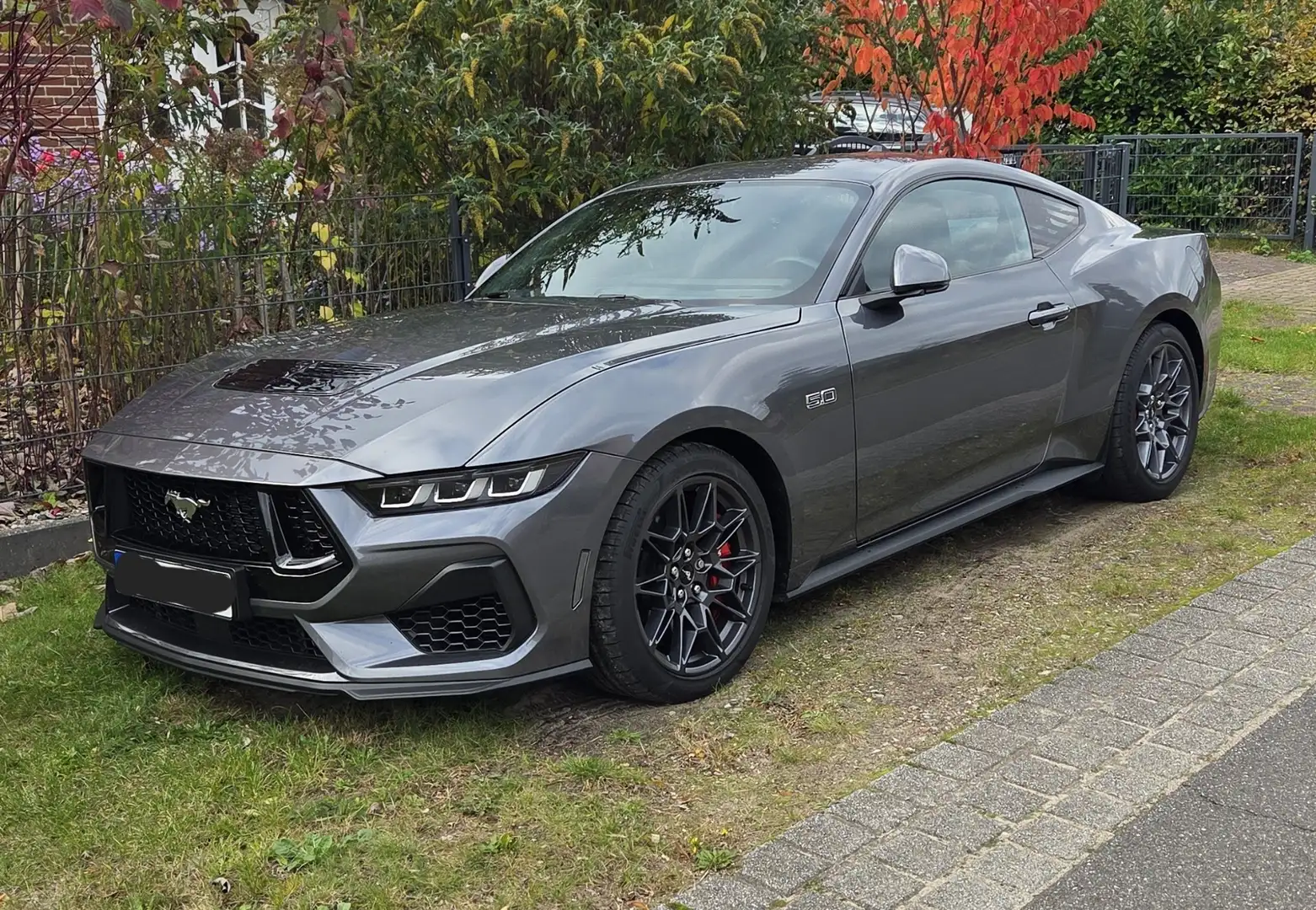Ford Mustang 5.0 V8 Garantie bis 2029 Grau - 1