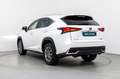 Lexus NX 300h Business 2WD Blanco - thumbnail 9