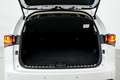 Lexus NX 300h Business 2WD Blanco - thumbnail 17