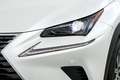 Lexus NX 300h Business 2WD Blanco - thumbnail 10