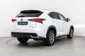 Lexus NX 300h Business 2WD Blanco - thumbnail 6