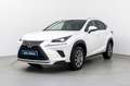 Lexus NX 300h Business 2WD Blanco - thumbnail 1