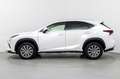 Lexus NX 300h Business 2WD Blanco - thumbnail 8