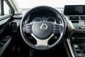 Lexus NX 300h Business 2WD Blanco - thumbnail 19
