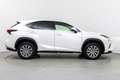 Lexus NX 300h Business 2WD Blanco - thumbnail 7