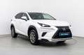 Lexus NX 300h Business 2WD Blanco - thumbnail 3