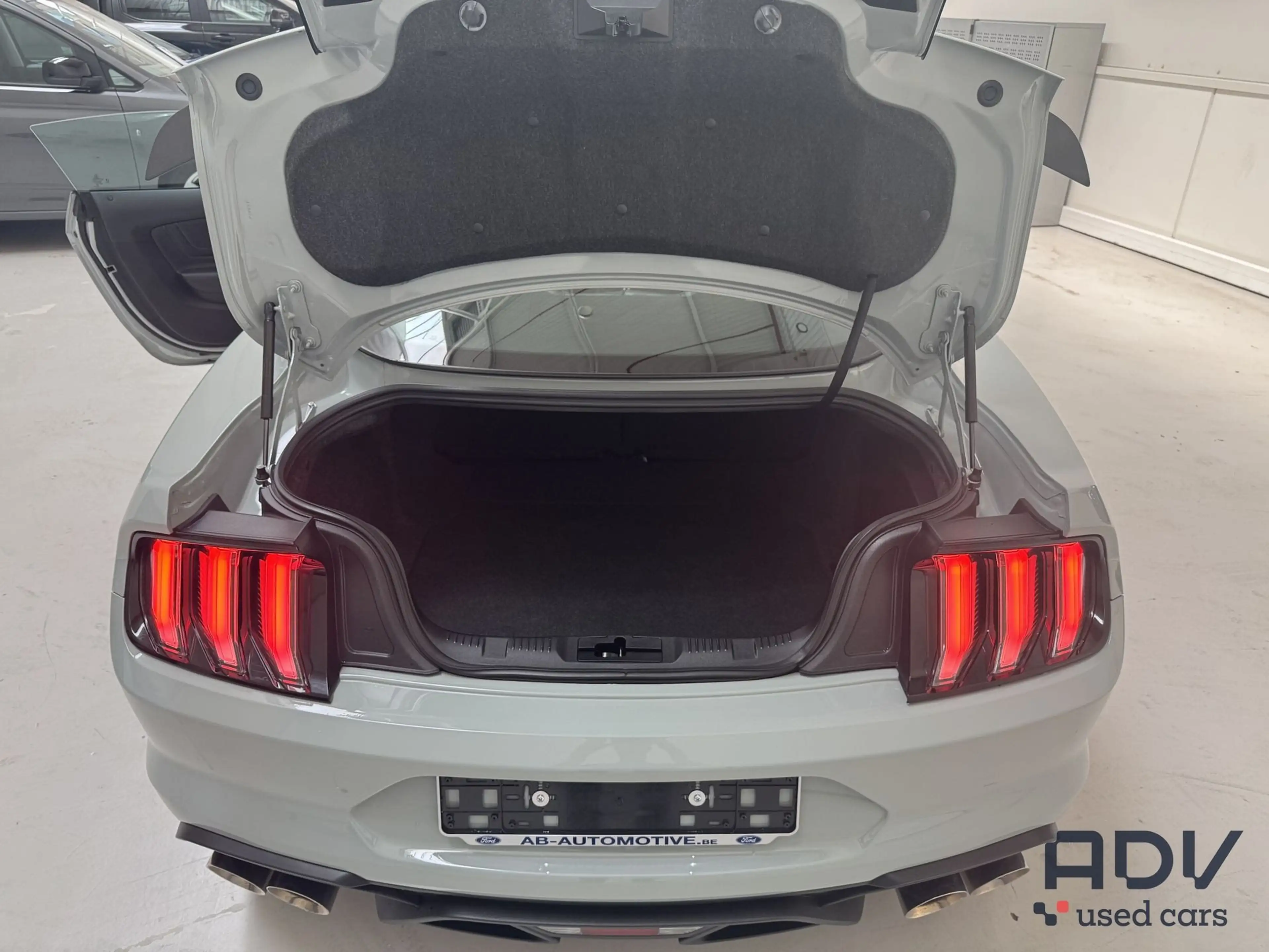 Ford Mustang 5.0 V8 - Mach 1 - Recaro Seats - Manual!! — photo 5