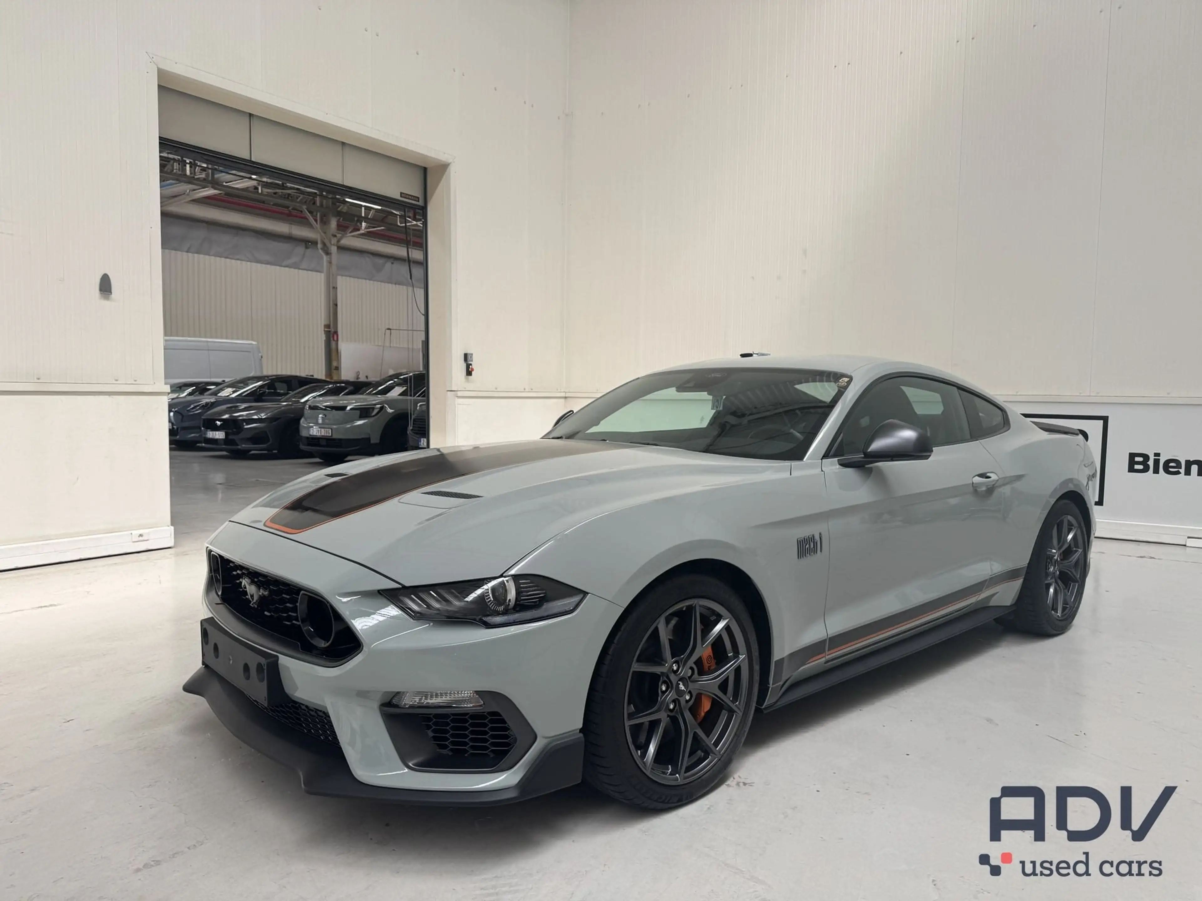 Ford Mustang 5.0 V8 - Mach 1 - Recaro Seats - Manual!!
