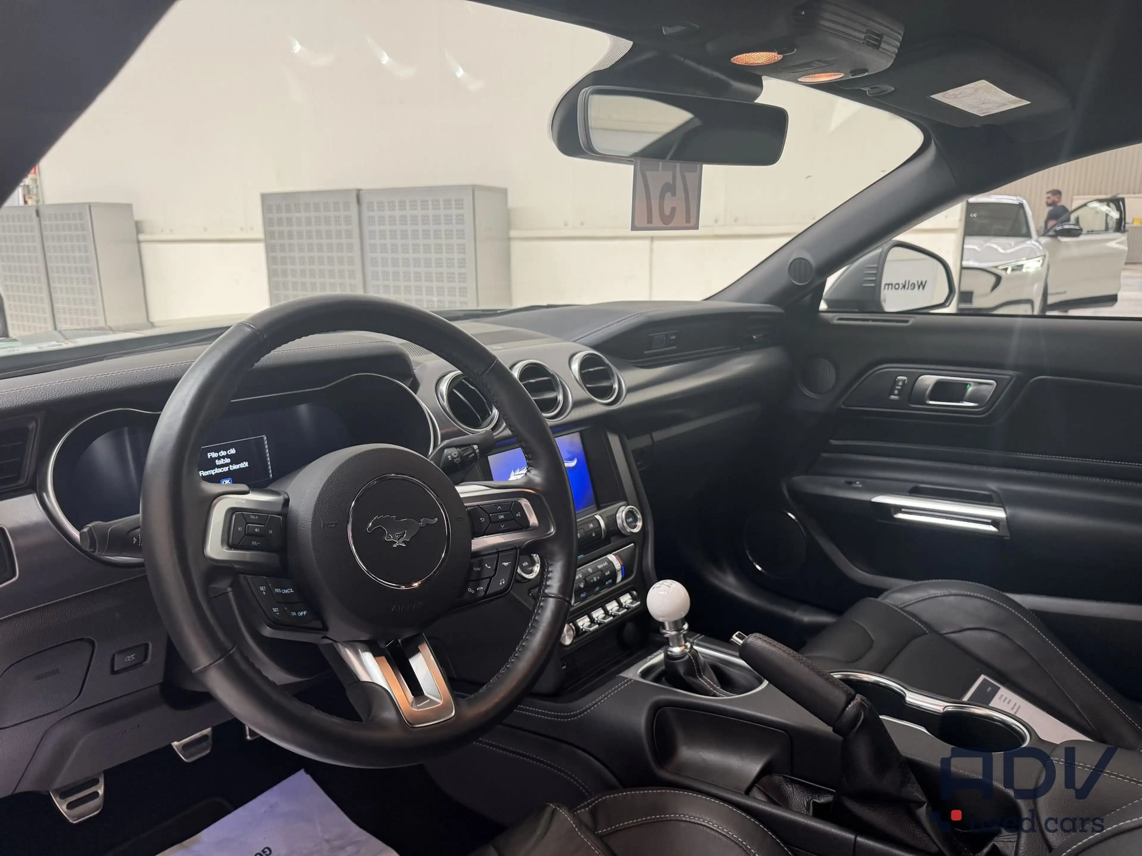 Ford Mustang 5.0 V8 - Mach 1 - Recaro Seats - Manual!! — photo 12