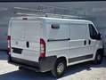 Fiat Ducato 115 (Rs: 3000 mm), Dachkorb, TÜV neu Weiß - thumbnail 2