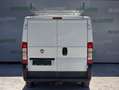 Fiat Ducato 115 (Rs: 3000 mm), Dachkorb, TÜV neu Weiß - thumbnail 5