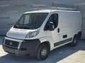 Fiat Ducato 115 (Rs: 3000 mm), Dachkorb, TÜV neu Weiß - thumbnail 1