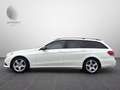 Mercedes-Benz E 200 CDI/ DESIGNO/2.HD/STANDH./H&C/MEMORY/360* bijela - thumbnail 6