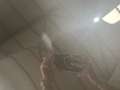 BMW 340 SERIE COUPE F22 M240i 340 ch Propulsion ZF8 ~ Harm Gris - thumbnail 39