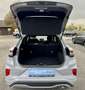Ford Puma 1,0 EcoBoost Hybrid ST-Line - 2 Jahreswagen Grau - thumbnail 19