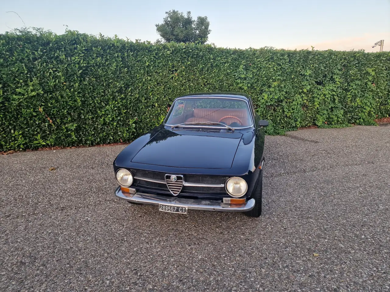 Alfa Romeo GT
