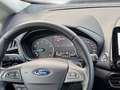 Ford EcoSport 1.0 EcoBoost Aut. 125 Titanium Weiß - thumbnail 17