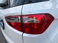Ford EcoSport 1.0 EcoBoost Aut. 125 Titanium Weiß - thumbnail 11