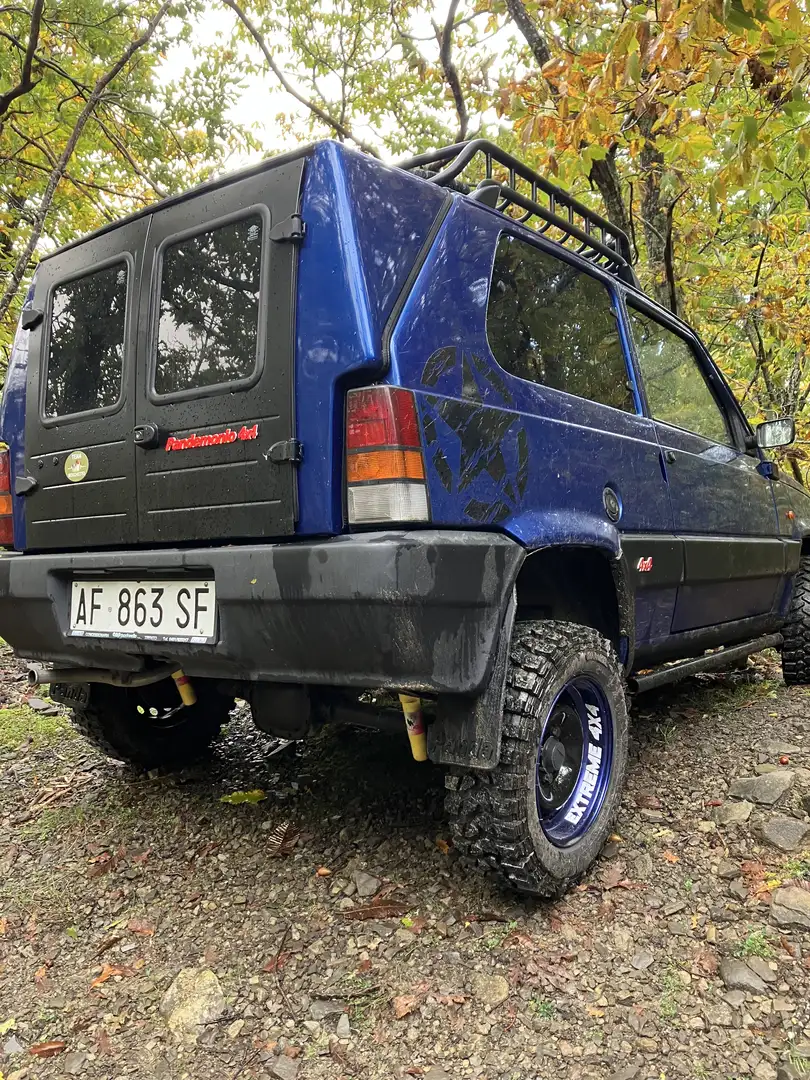 Fiat Panda 1.1 Fire Trekking 4x4 cat. - 2