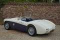 Austin-Healey 100 100/4 "SCCA-racer '53-'64" Oldest Healey race car Weiß - thumbnail 33