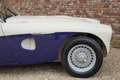 Austin-Healey 100 100/4 "SCCA-racer '53-'64" Oldest Healey race car Weiß - thumbnail 27