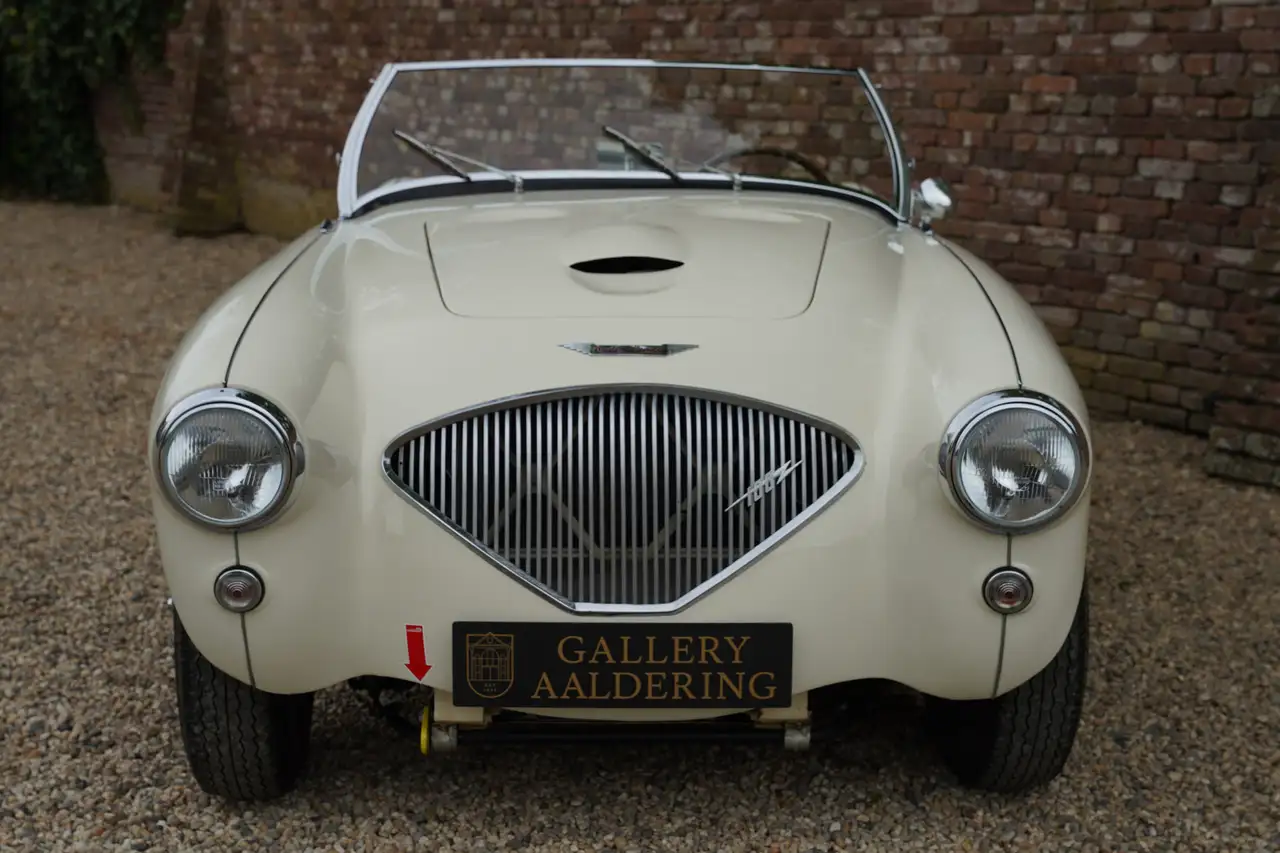 Austin-Healey 100/4 "SCCA-racer '53-'64" Oldest Healey race car, foto 5