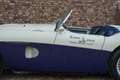 Austin-Healey 100 100/4 "SCCA-racer '53-'64" Oldest Healey race car Weiß - thumbnail 24
