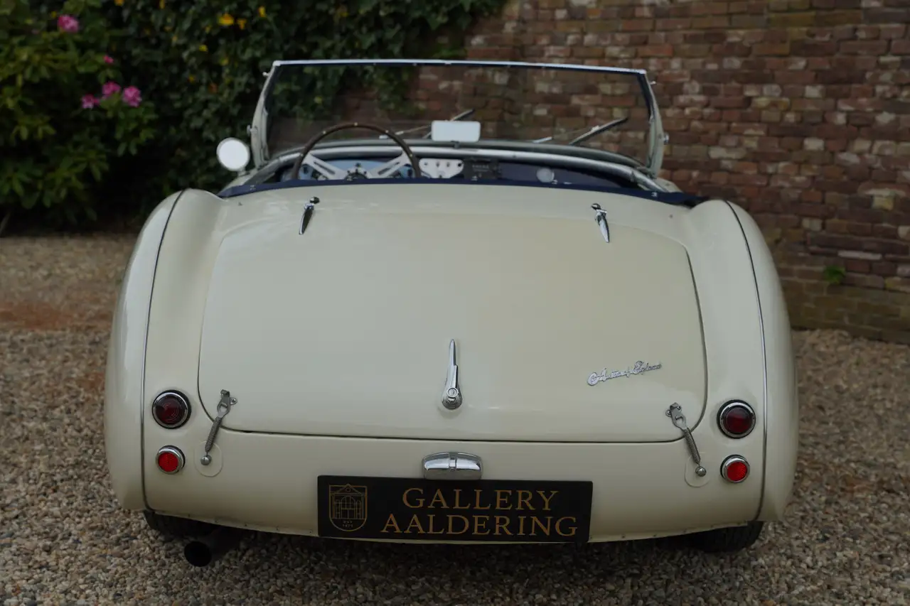Austin-Healey 100/4 "SCCA-racer '53-'64" Oldest Healey race car, foto 6