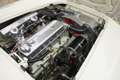 Austin-Healey 100 100/4 "SCCA-racer '53-'64" Oldest Healey race car Weiß - thumbnail 28