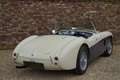 Austin-Healey 100 100/4 "SCCA-racer '53-'64" Oldest Healey race car Weiß - thumbnail 45