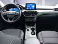 Ford Kuga Kuga 2.5 Duratec FHEV TITANIUM Gris - thumbnail 10