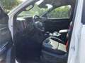 Ford Ranger Raptor 3,0 l EcoBoost Autom. el. Rollo Weiß - thumbnail 11
