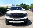 Ford Ranger Raptor 3,0 l EcoBoost Autom. el. Rollo Weiß - thumbnail 2