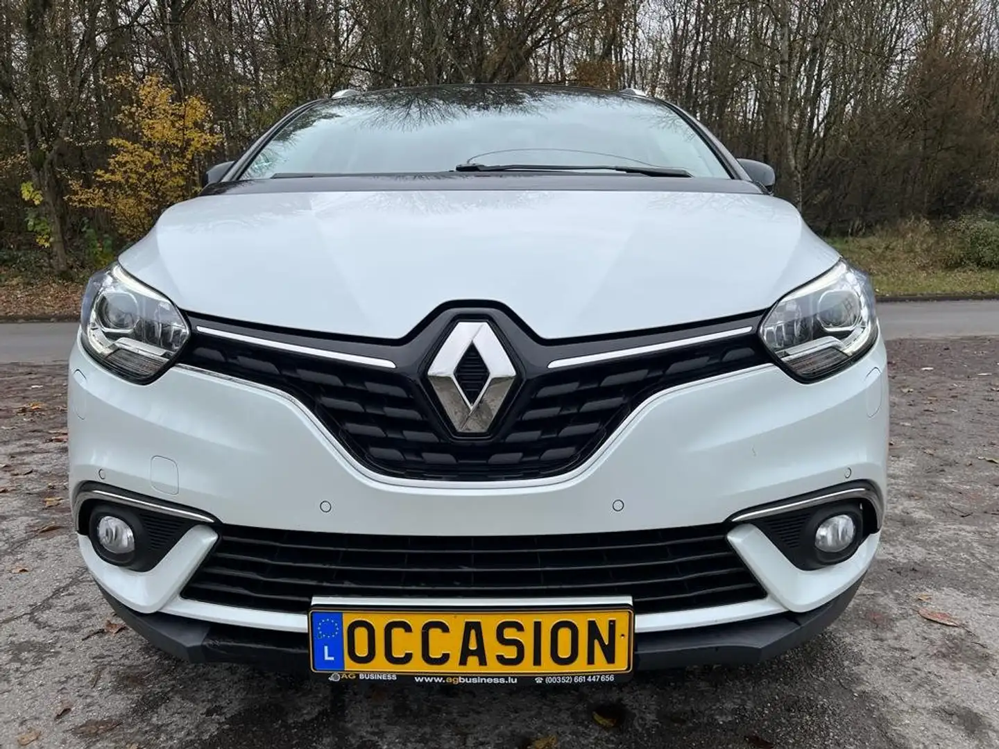 Renault Grand Scenic 1.33 TCe édition Limited  Navi Jante Clim Blanc - 2