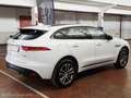 Jaguar F-Pace Jaguar F-Pace 2.0d i4 R-Sport awd 240cv auto my19 Bianco - thumbnail 6