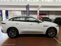 Jaguar F-Pace Jaguar F-Pace 2.0d i4 R-Sport awd 240cv auto my19 Bianco - thumbnail 7