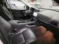 Jaguar F-Pace Jaguar F-Pace 2.0d i4 R-Sport awd 240cv auto my19 Bianco - thumbnail 14