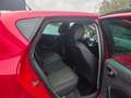 SEAT Ibiza Ibiza 1.4i Style Rouge - thumbnail 5
