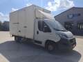 Fiat DUCATO  35 180 MJT 2.3 Bianco - thumbnail 1