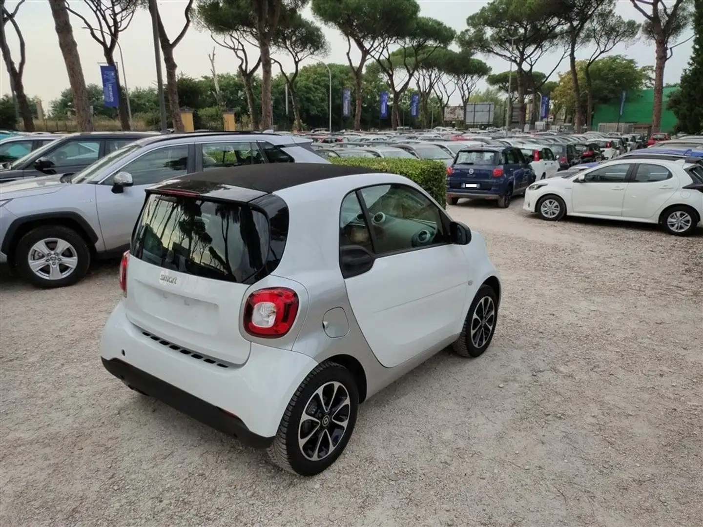 smart forTwo 70 1.0 AndroidAuto,CRUISE,CERCHI LEGA,CLIMA .. Bianco - 1
