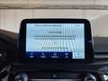 Ford Kuga 2.5 Full Hybrid CVT 2WD ST-Line Navi Adapt.Cruise Blu/Azzurro - thumbnail 13